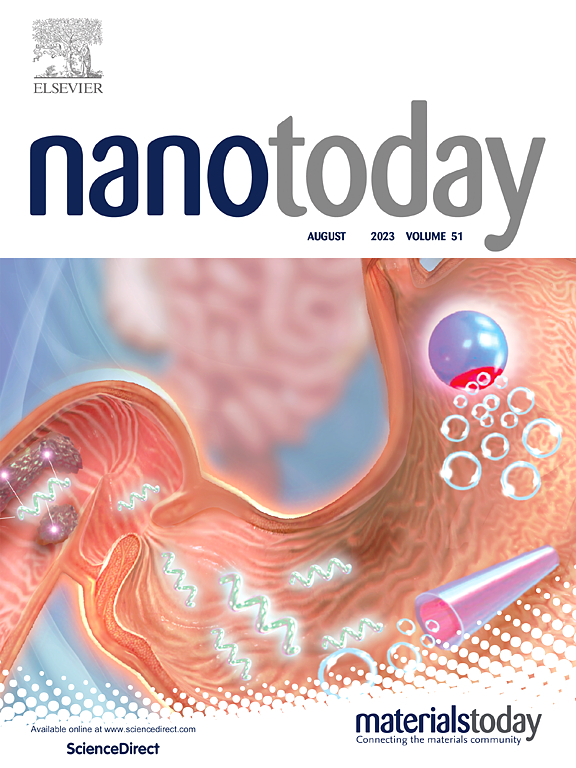 Go to journal home page - Nano Today